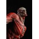 Attack on Titan Statue The Colossus Titan Takayuki Takeya Version 49 cm